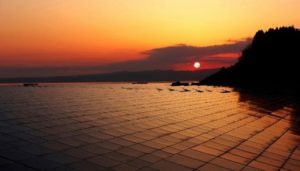 Apesar de pandemia, GD solar cresceu em 2020 impulsionada pelo agro