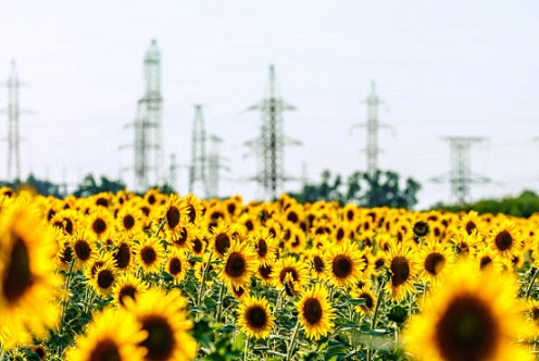 Desconto na tarifa de energia elétrica